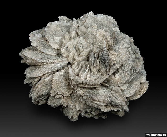 ���������� �������� ����. ������������� �������.