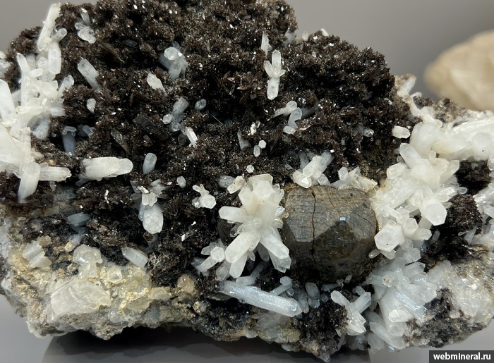 ���������� �������� ��������, �����, �������-(Mn). ������������ ������.