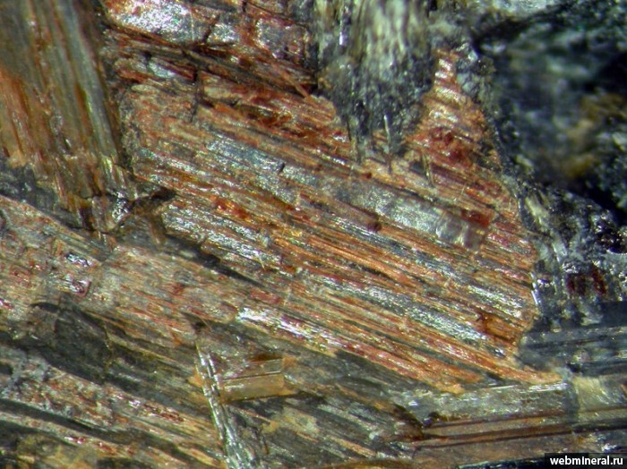 Фотография минерала Расвумит, Эгирин. Материальная штольня.