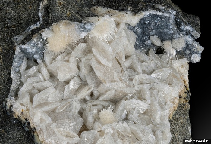 ���������� �������� ��������, �������-Ca. ������ ������.