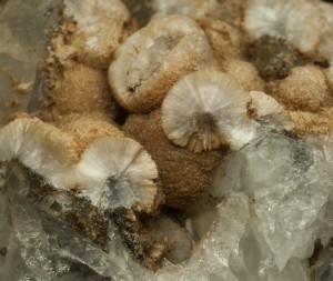 , .  .   . webmineral.ru