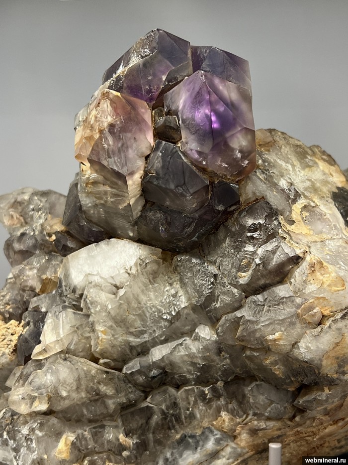 ���������� �������� ����� ����. (�������). ���� ������� ��������.