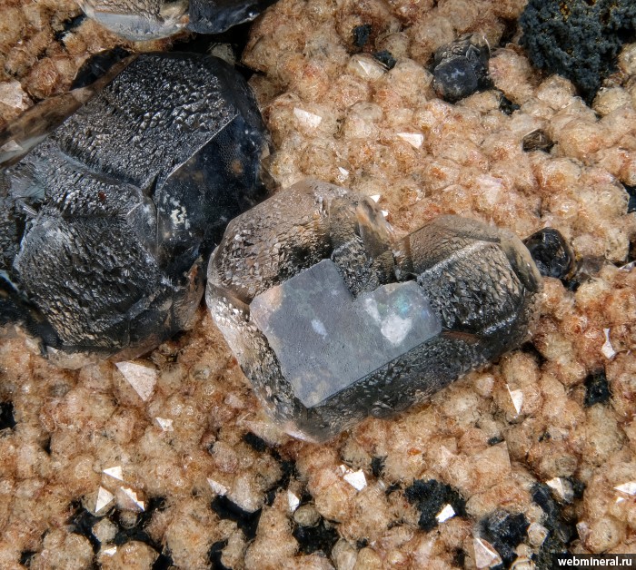 ���������� �������� ��������, �������, �������. 2-� ��������� ������.