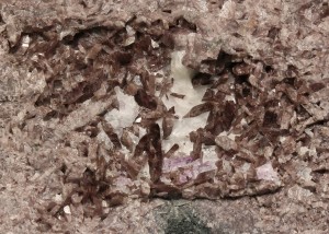 . - (Fe) .   . webmineral.ru