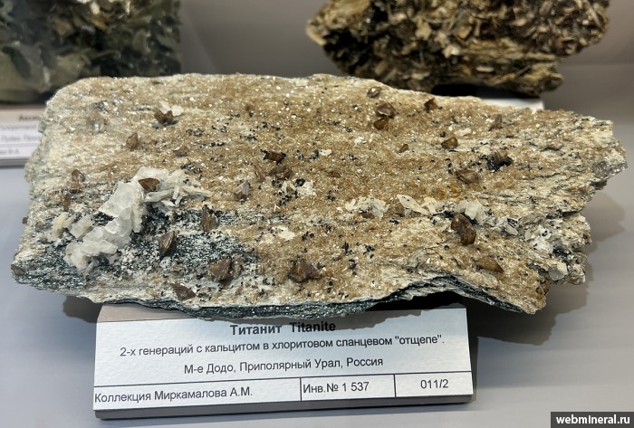 ���������� �������� �������, �������. ���� �������������.