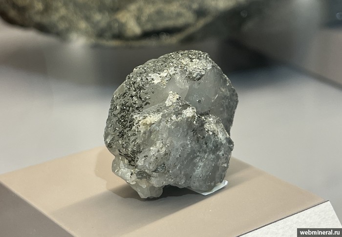 ���������� �������� ����������. ���� �������������.