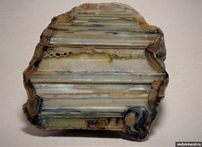 ���������� �������� ����� ����. (����). ������ �������������.