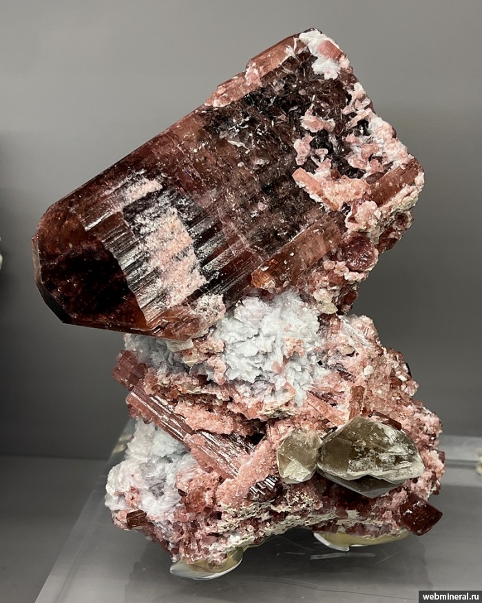 ���������� �������� �������, �����, ������. ������� ����.