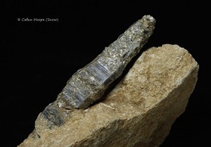 .   .   . webmineral.ru