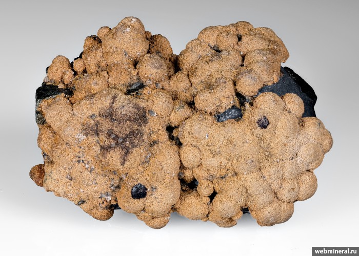 ���������� �������� �������, ��������, �����������, �������. ������� �������������.