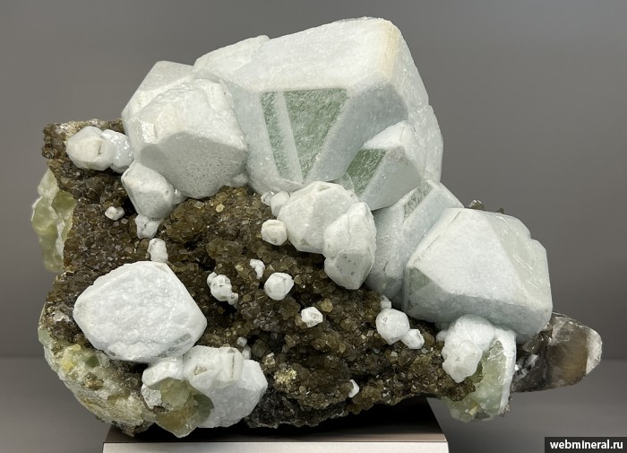 ���������� �������� �������, ���������. ��� ������.