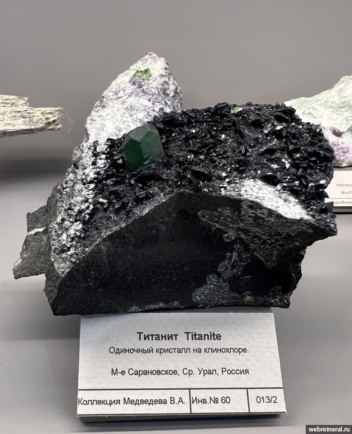 ���������� �������� �������. ������� ����������� (Cr) �������������.