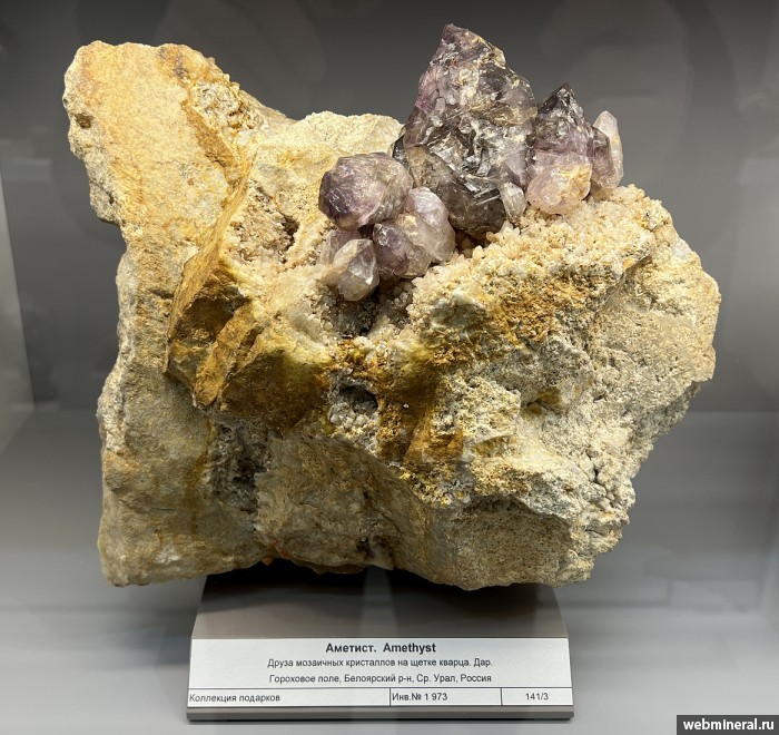 ���������� �������� ����� ����. (�������), �����. ��������� ���� ����������.