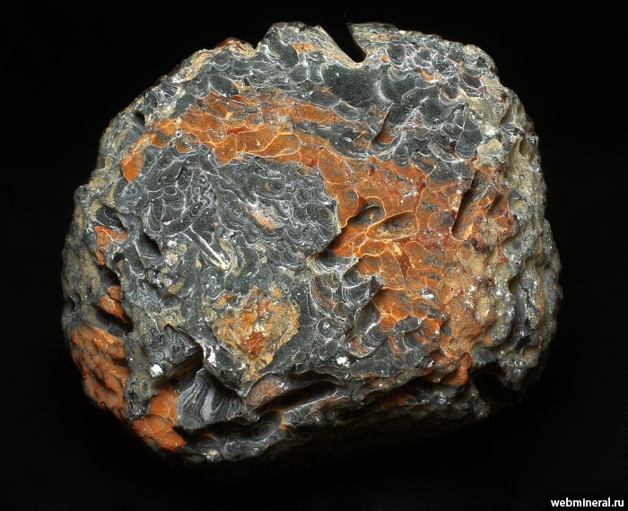 ���������� �������� ��������. ������������ ����������.