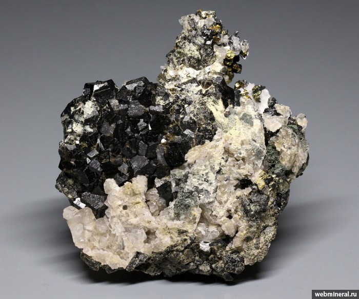 ���������� �������� ��������, �����, �����������. ������ ������ ����.