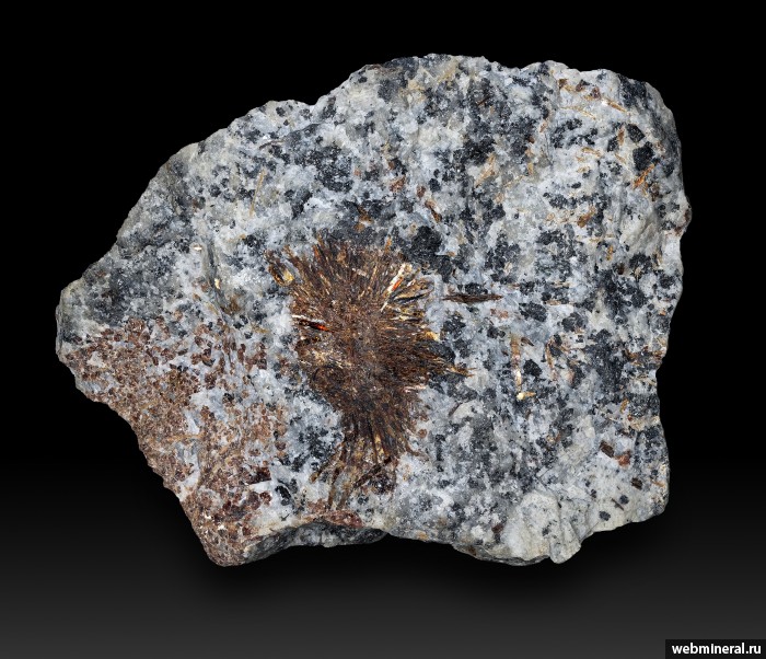 ���������� �������� �����������. ����������� ����.