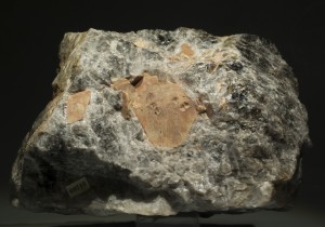 -(La), .  .   . webmineral.ru
