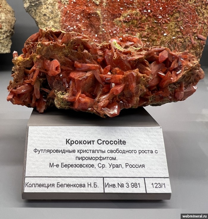 ���������� �������� �������. ����������� ����.