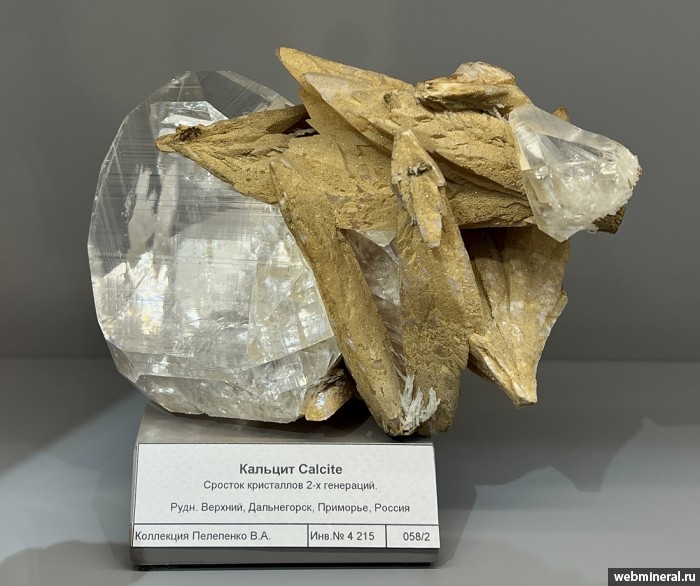 ���������� �������� �������. ������� �������������.