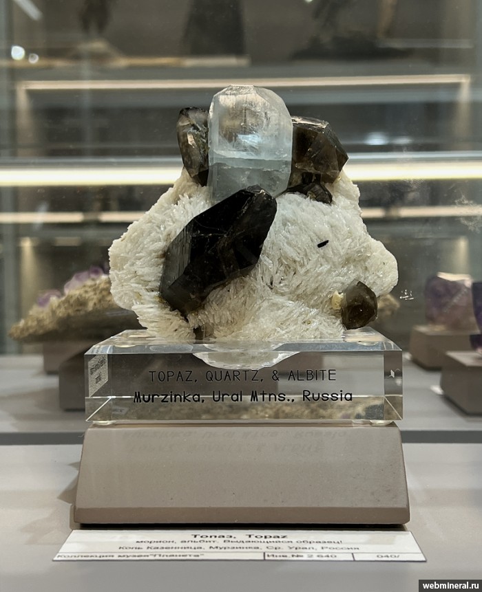 ���������� �������� �����, �����, ������. ��������� ����.