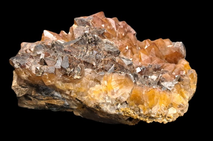 ���������� �������� �����, ø���. �������� �����.