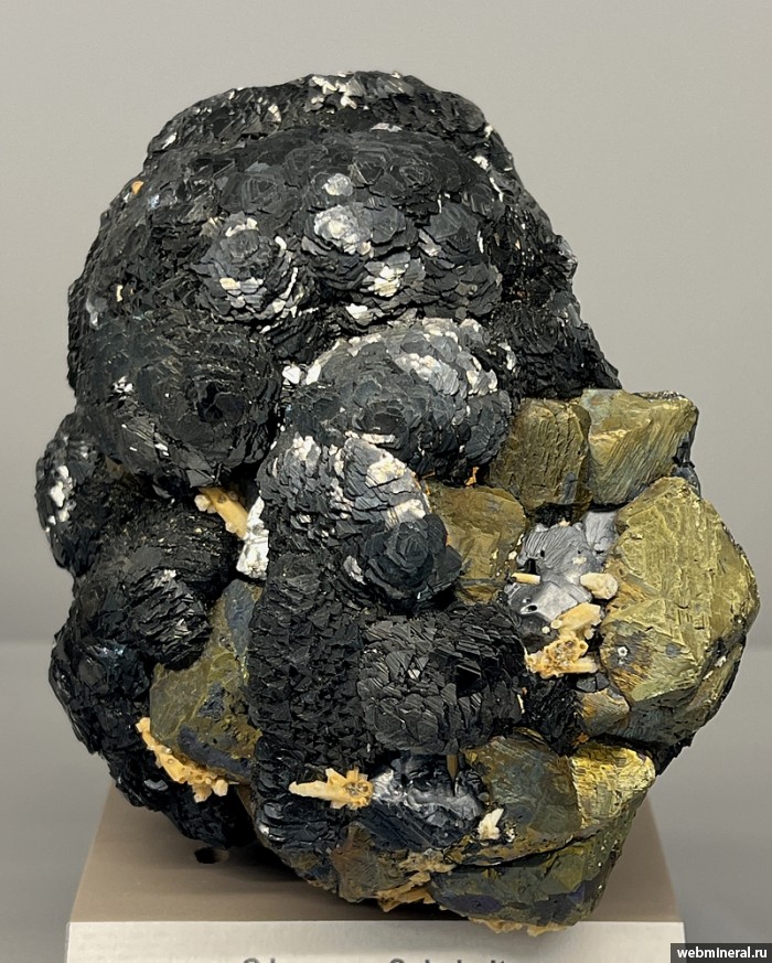 ���������� �������� ��������, �����������, �������, �����. ������������ ������.