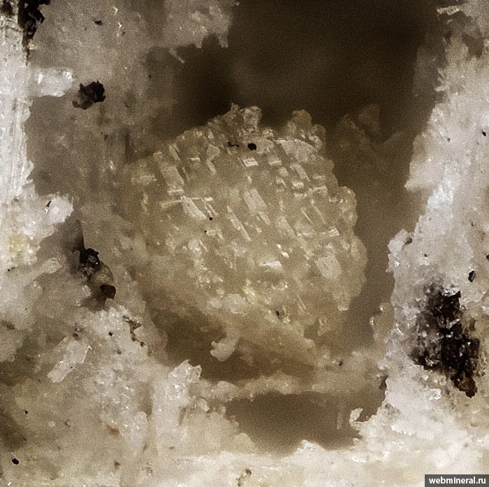 ���������� �������� ��������-Na, ��������. �������������� ������.