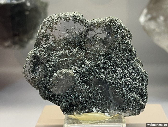 ���������� �������� ����������. ���� �������������.