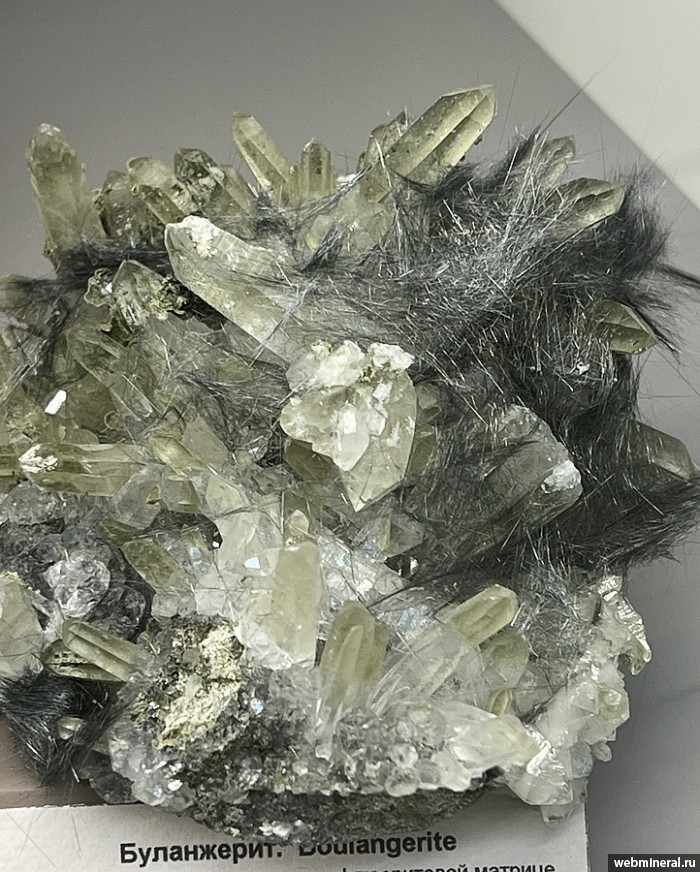 ���������� �������� ����������, �����. ������������ ������.