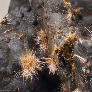 ׸-(Y), , Leonie I Mine, Upper Palatinate, Bavaria, Germany ().   . webmineral.ru