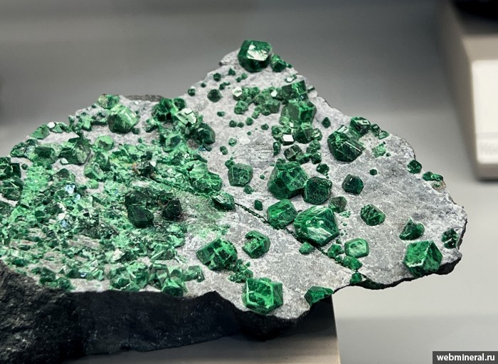 ���������� �������� ��������. ������� ����������� (Cr) �������������.