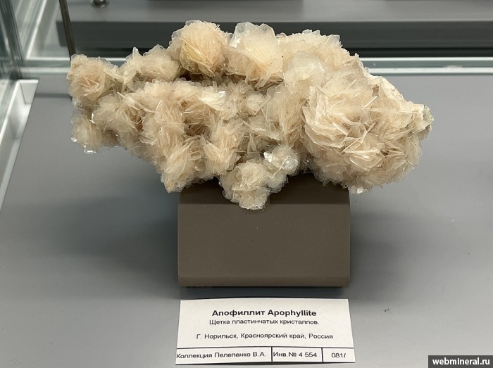 ���������� �������� �����������������-(K). ���������� ������ ���� (����� ������).