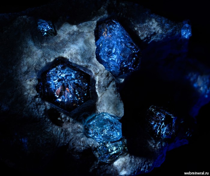 ���������� �������� ����� ����. (�������� �����). ������ ����������.