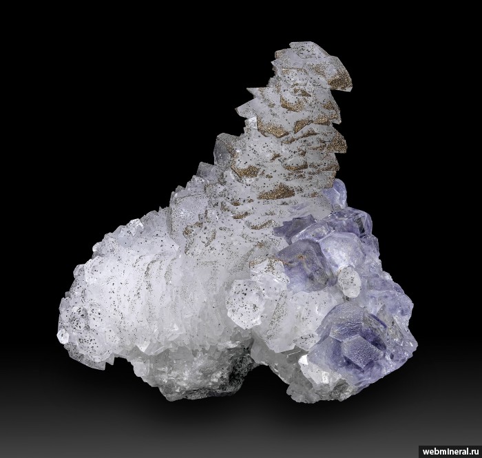 ���������� �������� �������, �������, �����. 2-� ��������� ������.