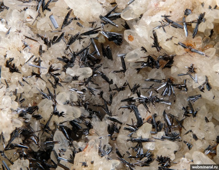 ���������� �������� ø���. ���������� ������ �������������.