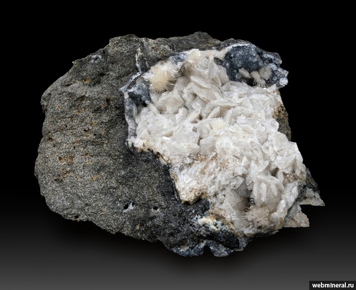 ���������� �������� ��������, �������-Ca. ������ ������.