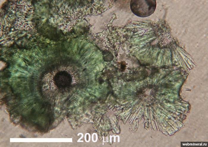 ���������� �������� ��������������, ���������. �����-������-����� ����������.