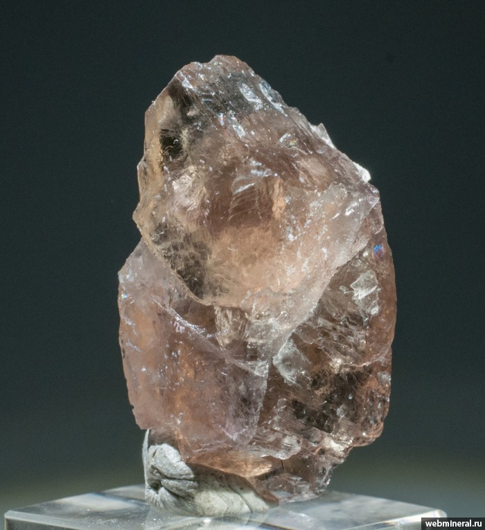 ���������� �������� �������. ���������� ����.