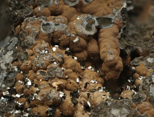 ��������, �����������. ���������� �������������. �������� � �������������. webmineral.ru