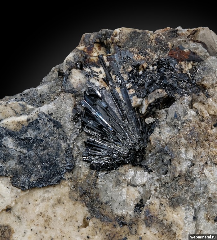 ���������� �������� ������. �������� � 24 (����������).