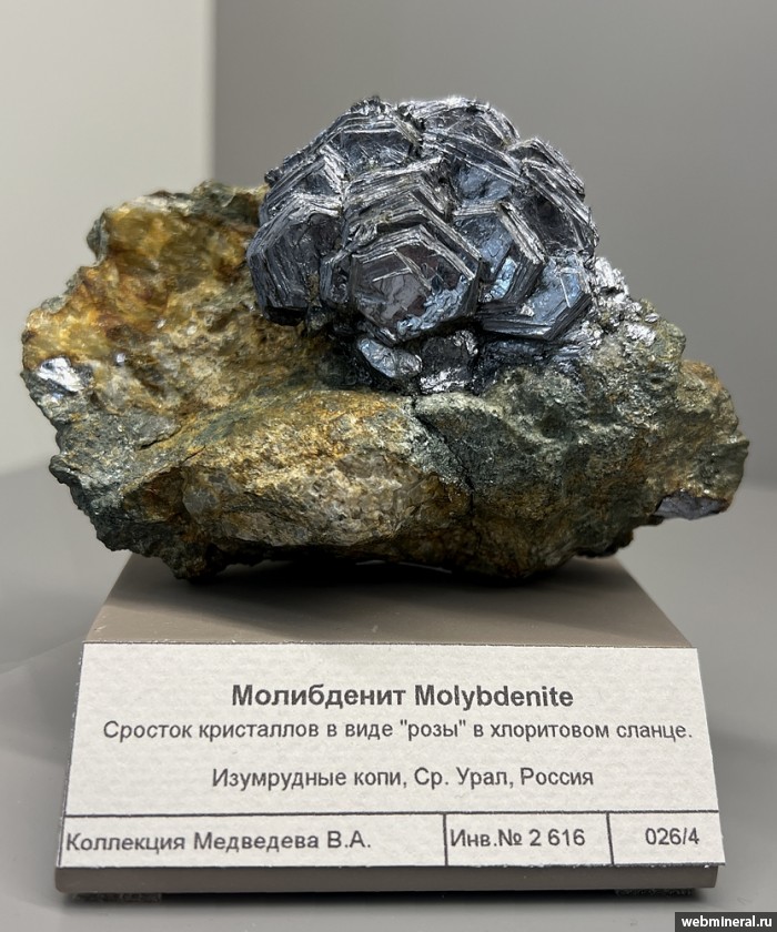 ���������� �������� ����������. ���������� ����.