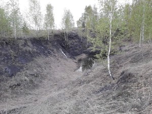   .  (Mn) .   . webmineral.ru