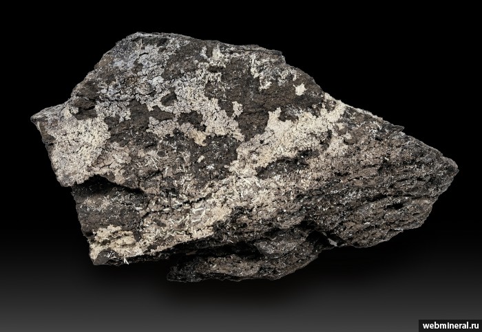 ���������� �������� ����, ����. �����-���������� �������������.