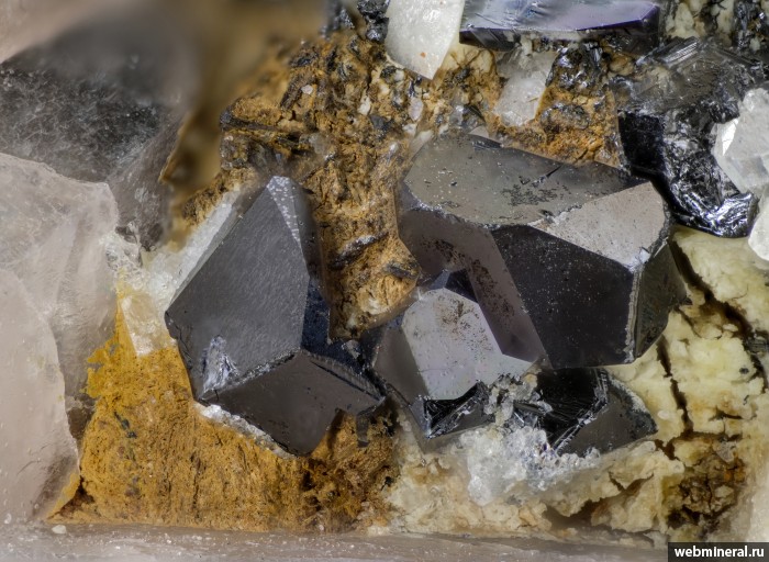 ���������� �������� ������, �����. ��������� ����.