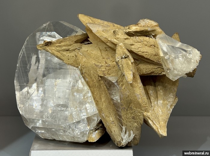 ���������� �������� �������. ������� �������������.