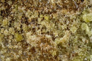 �������, ����������� (Au-As) �������������. �������� � �������������. webmineral.ru