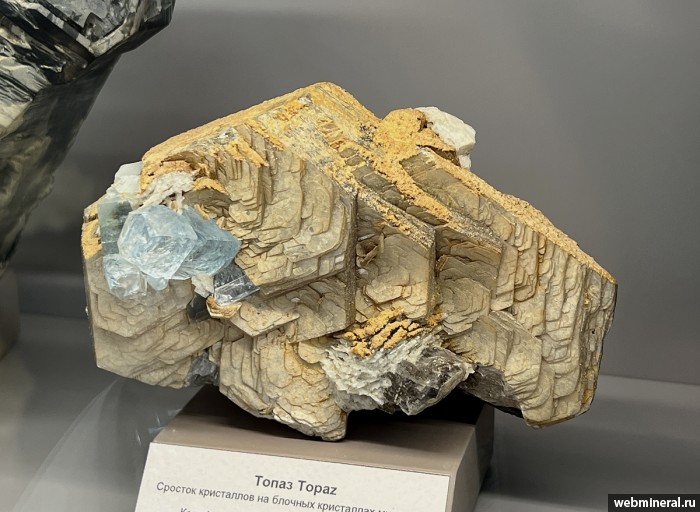 ���������� �������� �����, ��������. ������� ����.