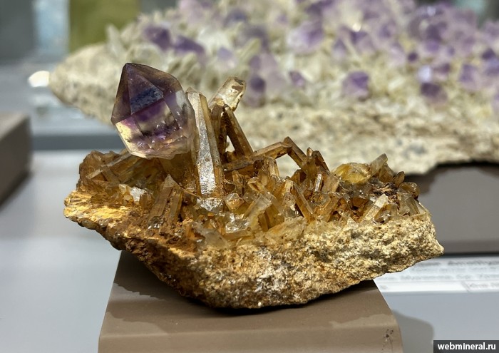 ���������� �������� ����� ����. (�������). ������ �������������.