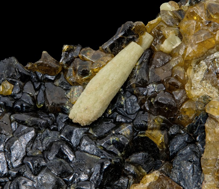 ���������� �������� ���������, ��������. ������������������ ���������� ����������.