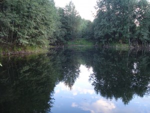   37.   37.   . webmineral.ru
